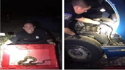 कार से आ रही थी अजीबोगरीब आवाजें, लेकिन इंजन की खराबी नहीं खौफनाक थी वजह