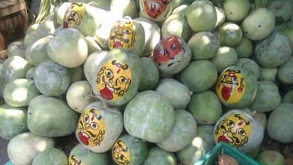 ఇంటి ముందు గుమ్మడి కాయ ఎందుకు కట్టాలి?