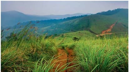 വ്യാജരേഖ ഉണ്ടാക്കി സർക്കാർ ഭൂമി കൈയ്യേറി; 11 പേർക്കെതിരെ കേസെടുത്തു