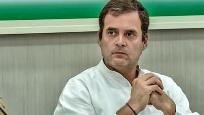 राहुल के हटने के बाद उम्मीदवारों के चयन में सीमित हुई युवा कांग्रेस और एनएसयूआई की भागीदारी