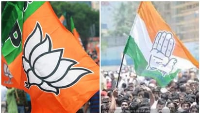 రాజకీయ ఎత్తుగడలు: కుటుంబాల విభజన, అన్ని పార్టీల్లోనూ వారే...