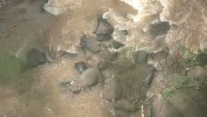 ತಾಳಿಕೋಟೆ: 10 ಅಡಿಗೇ ಪುಟಿದೆದ್ದ ಅಂತರ್ಜಲ, ಸ್ಥಳೀಯರಲ್ಲಿ ಸಂತಸ