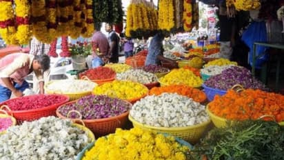 ಕೋಲಾರ ಮಾರುಕಟ್ಟೆಯಲ್ಲಿ ಖರೀದಿ ಜೋರು