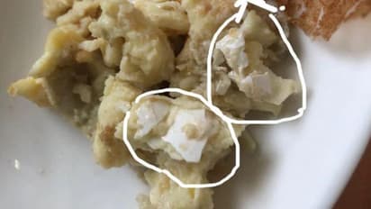 BBMP slaps fine on McDonalds, Samrudh Veg, Bowring Institute for lack of food hygiene