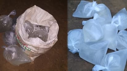 కృష్ణాజిల్లాలో నాటుసారా విక్రయాలు: పట్టుకున్న గ్రామవాలంటీర్లు