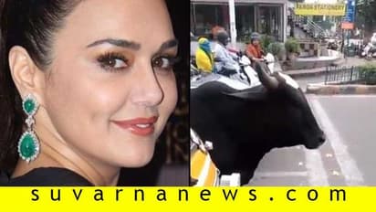 ಮನುಷ್ಯರಿಗಿಂತ ಪ್ರಾಣಿಗಳೇ ವಾಸಿ! ಟ್ರಾಫಿಕ್ ರೂಲ್ಸ್ ಫಾಲೋ ಮಾಡೋದನ್ನು ನೋಡಿ!