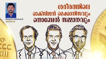 ഈ ഞാൻ എന്ന് ഓരോ മനുഷ്യനും പറയുന്ന ശരീരം ഉണ്ടല്ലോ, അത് ശരിക്കും ഒരു ഞാനല്ല... പിന്നെ?