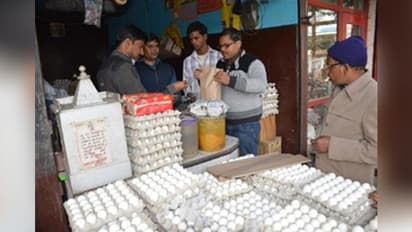 आज से दीवाली तक नॉनवेज की बढ़ी रहेगी डिमांड, नकली अंडों से यूं रहे सावधान
