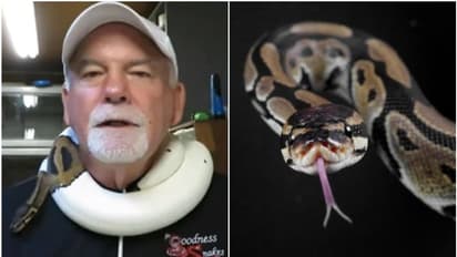 മോഷ്ടാക്കള് ബാഗുമായി മുങ്ങി; ബാഗിലുള്ളത് പാമ്പുകളെന്ന് ഉടമസ്ഥന്