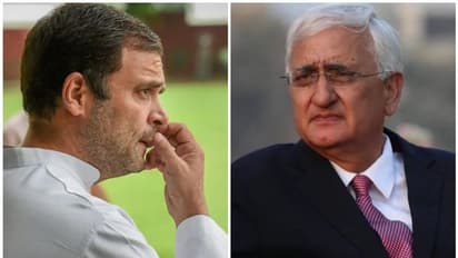 'തെരഞ്ഞെടുപ്പിലെ വിജയം മാത്രമല്ല, കോണ്‍ഗ്രസിന്‍റെ ഭാവി തന്നെ തുലാസിലാണ്'; രാഹുലിനെ വിമര്‍ശിച്ച് സല്‍മാന്‍ ഖുര്‍ഷിദ്