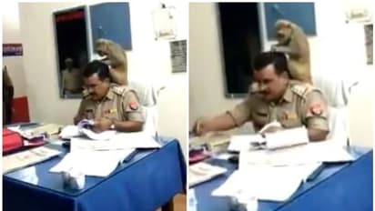 'കുരങ്ങനെന്താ പൊലീസിന്റെ തലയില് കാര്യം'? വൈറലായി 'പേന്നോട്ട'ത്തിന്റെ വീഡിയോ