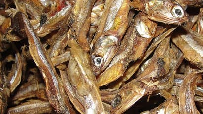 വിപണയില് ക്ഷാമം: വയനാട്ടില് ഉണക്കമീനിന് പൊള്ളുന്ന വില