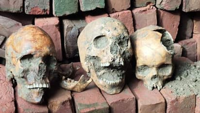 ভিত খুঁড়তে গিয়ে ভীতি, নাকাশিপাড়ায় কঙ্কাল উদ্ধার