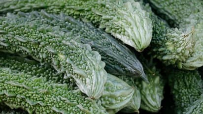 ಹಾಗಲ ಬೆಳೆದು ಕಹಿಯಾಯ್ತು ಬದುಕು, ಬಡ ರೈತನಿಗೆ 8 ಲಕ್ಷ ಸಾಲ