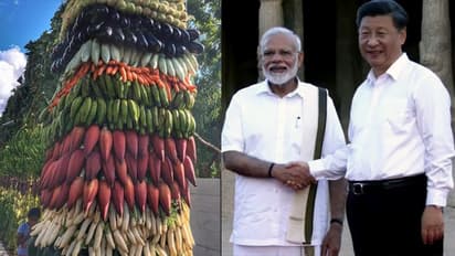 मोदी-जिनपिंग का स्वागत इन 18 तरह की खास सब्जियों से हुआ, 200 लोगों ने 10 घंटे तक की कड़ी मेहनत