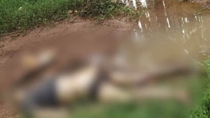 കോഴിക്കോട് എൻഐടിക്കടുത്ത് അജ്ഞാത മൃതദേഹം കണ്ടെത്തി