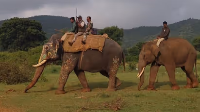 ಚಾಮರಾಜನಗರ: ಹುಲಿ ಹಿಡಿಯಲು ಸೋಲಿಗರ ಮೊರೆ