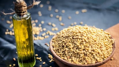 മുടികൊഴിച്ചിൽ കുറയ്ക്കാൻ ഉലുവയും ഒലീവ് ഓയിലും; ഉപയോഗിക്കേണ്ട വിധം