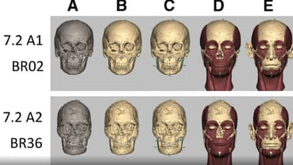 സിന്ധുനദീതട സംസ്കാരത്തിലെ മനുഷ്യര് കാണാന് ഇങ്ങനെയായിരുന്നോ? പഠനം 4500 വര്ഷം പഴക്കമുള്ള അസ്ഥികൂടത്തില്