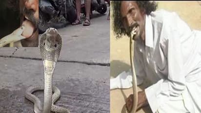 పాము కనిపిస్తే చాలు..పిజ్జాలా కొరికేస్తాడు.. కూల్ డ్రింక్లా విషాన్ని తాగేస్తాడు