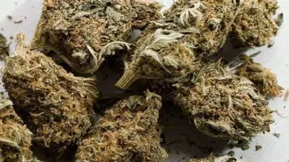 മധ്യപ്രദേശിൽ പോയി മടങ്ങി വരുകയായിരുന്ന ആംബുലൻസിൽ നിന്ന് കഞ്ചാവ് പിടികൂടി