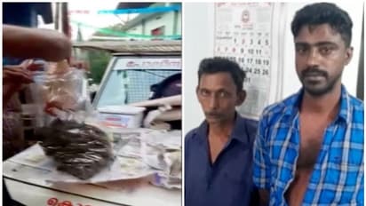 പോക്സോ കേസിലെ പ്രതി മൂന്നര കിലോ കഞ്ചാവുമായി പിടിയില്