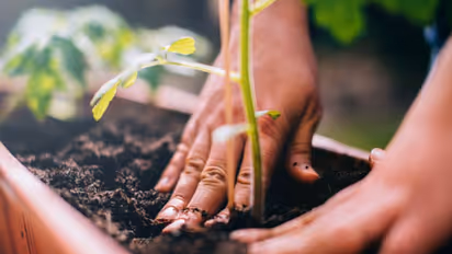 সৌন্দর্য থেকে পেটের সমস্যার সমাধান ভাতের ফ্যান, জানুন এর উপকারিতা