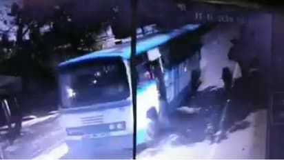 ইচ্ছা করেই কি নির্মম চালক, বানতলায় সরকারি বাসের চাকায় পিষ্ট তিনটি গরু