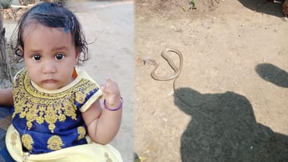జగిత్యాలలో విషాదం: పాముకాటుతో చిన్నారి మృతి
