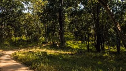ಗುರಿ ತಪ್ಪಿದ ಬೇಟೆಯಿಂದ ವ್ಯಕ್ತಿ ಆಸ್ಪತ್ರೆಗೆ, ಮೂವರು ಪೊಲೀಸರ ಮನೆಗೆ!
