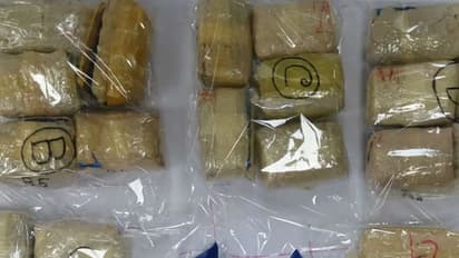 কলকাতায় ফের উদ্ধার নিষিদ্ধ মাদক ইয়াবা, গ্রেফতার ৩