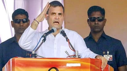 भाजपा करती है लोगों को आपस में लड़ाने का काम: राहुल गांधी