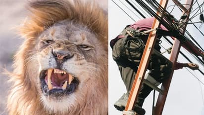 मिस्त्री ने जैसे ही मांगी मजदूरी, तमतमा उठा इमाम और पीछे छोड़ दी मौत