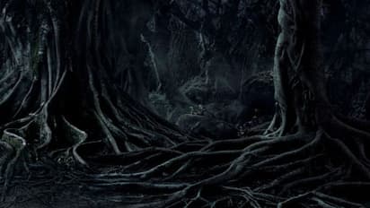 ಭೂತಾದಿ ಅಮವಾಸ್ಯೆ 2023 ದಿನಾಂಕ, ವಿಶೇಷತೆ, ಹೆಸರಿನ ಹಿನ್ನೆಲೆ