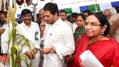 ఉద్యోగాల భర్తీ, ఇసుక కొరతపై చర్చ: నేడే ఏపీ కేబినెట్ భేటీ