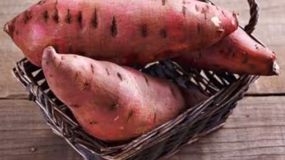 Sweet potato:கீரைக்கு இணையான சத்து கொண்ட சர்க்கரை வள்ளிக் கிழங்கு..?.மகத்தான 8 பயன்கள்..!!