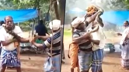 10 అడుగుల కొండ చిలువ.. రైతు మెడకు చుట్టుకొని(వీడియో)