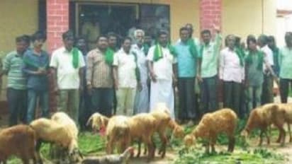 ಕೋಲಾರ: ಸೋಲಾರ್ ಘಟಕ ಕಾಮಗಾರಿ ನಿಲ್ಲಿಸಲು ಕುರಿಗಳೊಂದಿಗೆ ಪ್ರತಿಭಟನೆ