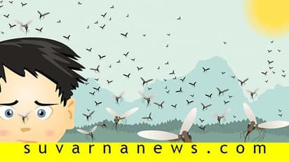 ಒಮ್ಮೆ ಬಂದ ಡೆಂಗ್ಯೂ ಮತ್ತೆ ಕಾಡೋಲ್ಲ ಎನ್ನುವುದು ಶುದ್ಧ ಸುಳ್ಳು...