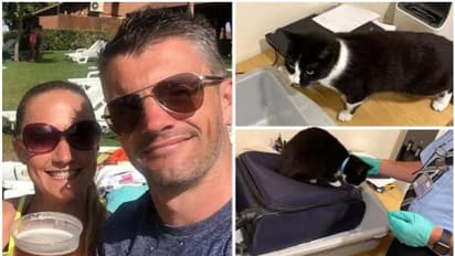 ബാഗിനുള്ളില് പൂച്ച; ന്യൂയോര്ക്ക് യാത്രക്കിടെ വിമാനത്താവളത്തില് കുടുങ്ങി ദമ്പതികള്