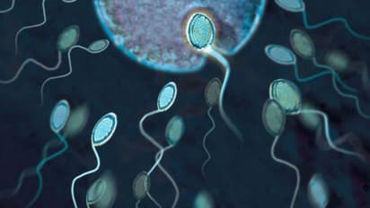 പുരുഷന്മാരില് ബീജത്തിന്റെ ഉത്പാദനം കുറയുന്നു; കാരണങ്ങള് അറിയണം...