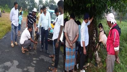 ಶಿವಮೊಗ್ಗ: ಮೀನು ವ್ಯಾಪಾರಿಯ ಅಂತಿಮ ಯಾತ್ರೆಯಲ್ಲಿ ಹೆಜ್ಜೆ ಹಾಕಿದ ಆಡು