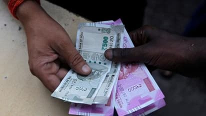 ദുരിതാശ്വാസ നിധിയിലേക്ക് പണം; നാളികേരം ശേഖരിച്ച് വിറ്റ് എഐവൈഎഫ്