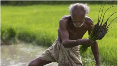 ನನ್ನನ್ನೇ ಮುಖ್ಯಮಂತ್ರಿ ಮಾಡಿ : ರಾಜ್ಯಪಾಲರಿಗೆ ರೈತನ ಪತ್ರ