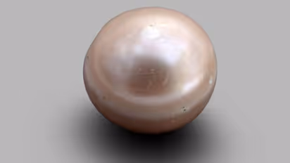 8000 വര്ഷം പഴക്കമുള്ള പവിഴം കണ്ടെത്തി