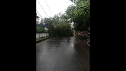 আকাশের মুখভার, সকাল থেকে দফায় দফায় বৃষ্টিতে ভিজছে তিলোত্তমা