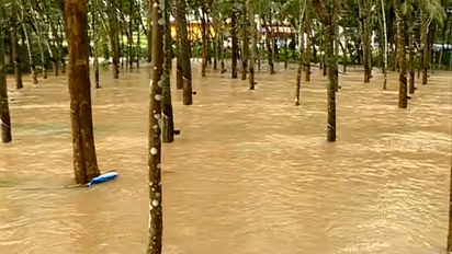 ಬಳ್ಳಾರಿಯಲ್ಲಿ ಭಾರಿ ಮಳೆ: ಮನೆಗಳಿಗೆ ನುಗ್ಗಿದ ನೀರು