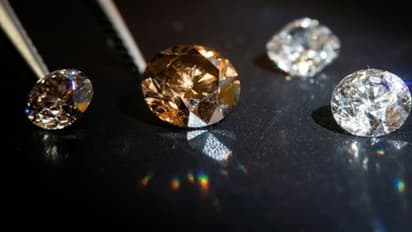 নুন আনতে পান্তা ফুরনোর অবস্থা, হিরে পেয়ে রাতারাতি ধনি বনল কৃষক