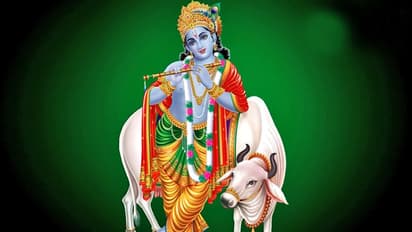 रमा एकादशी 24 अक्टूबर को, इस दिन व्रत करने से बढ़ता है सौभाग्य, ये है व्रत विधि और रोचक कथा