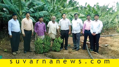 ಕರ್ನಾಟಕದಲ್ಲೊಂದು ಬಾಳೆ ಗ್ರಾಮ; ಗದಗ ಜಿಲ್ಲೆಯ ಹಮ್ಮಗಿಗೆ ಭೇಟಿ ನೀಡಿ!